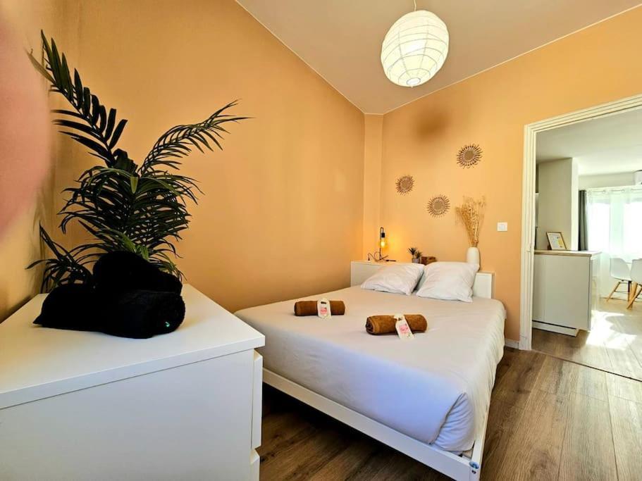 L'Ecrin Nimois - Clim - Centre Ville Nimes Ngoại thất bức ảnh